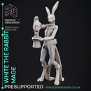 White The Rabbit Magician - Circus of Horrors - PRESUPPORTED - 32mm