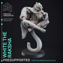 Raksha - Tabaxi Caravan - PRESUPPORTED - 32mm Scale - Illustrated & Stats