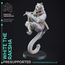 Raksha - Tabaxi Caravan - PRESUPPORTED - 32mm Scale - Illustrated & Stats