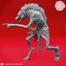 Pointing Witherling - Tabletop Miniature (Pre-Supported)