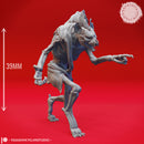 Pointing Witherling - Tabletop Miniature (Pre-Supported)