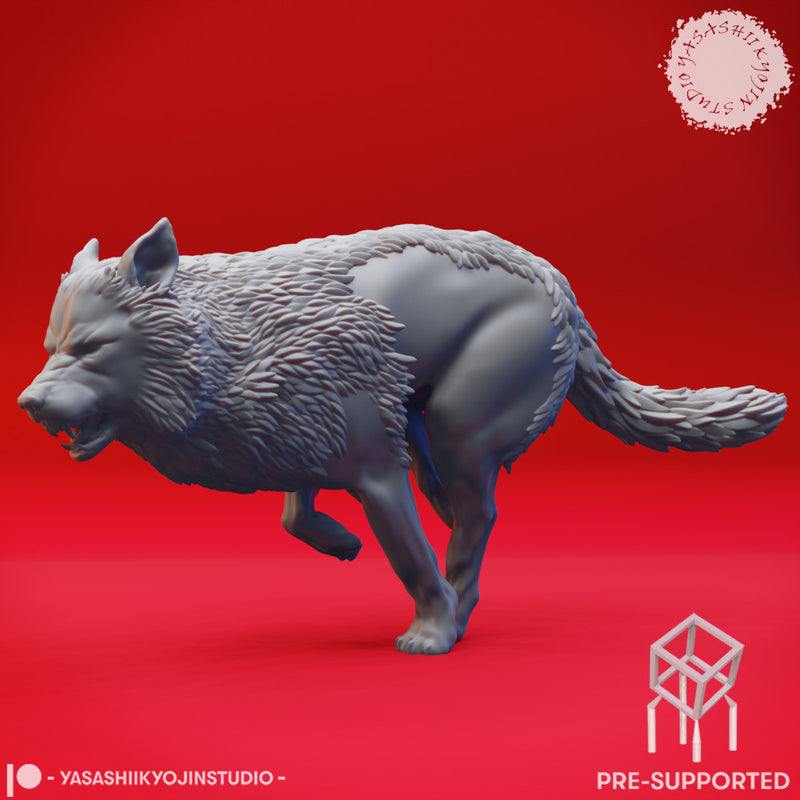 Wolf Pack - Tabletop Miniatures (Pre-Supported)