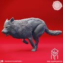 Wolf Pack - Tabletop Miniatures (Pre-Supported)