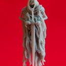 Wraiths - Book of Beasts - Tabletop Miniatures (Pre-Supported)