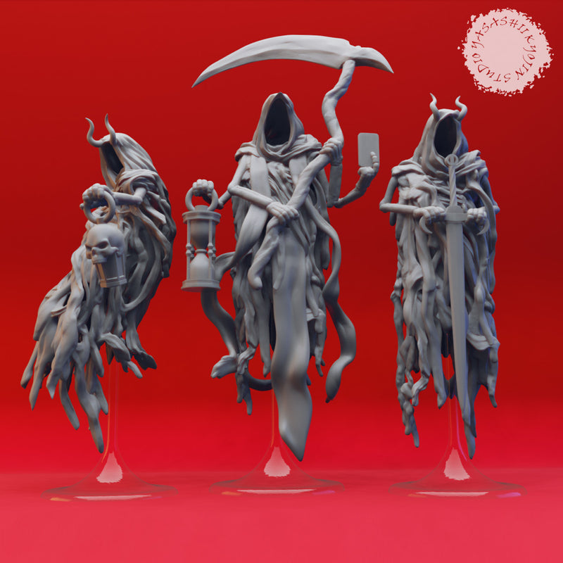 Wraiths - Book of Beasts - Tabletop Miniatures (Pre-Supported)
