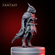 Dragonborn Adventurer 1 - Only-Games