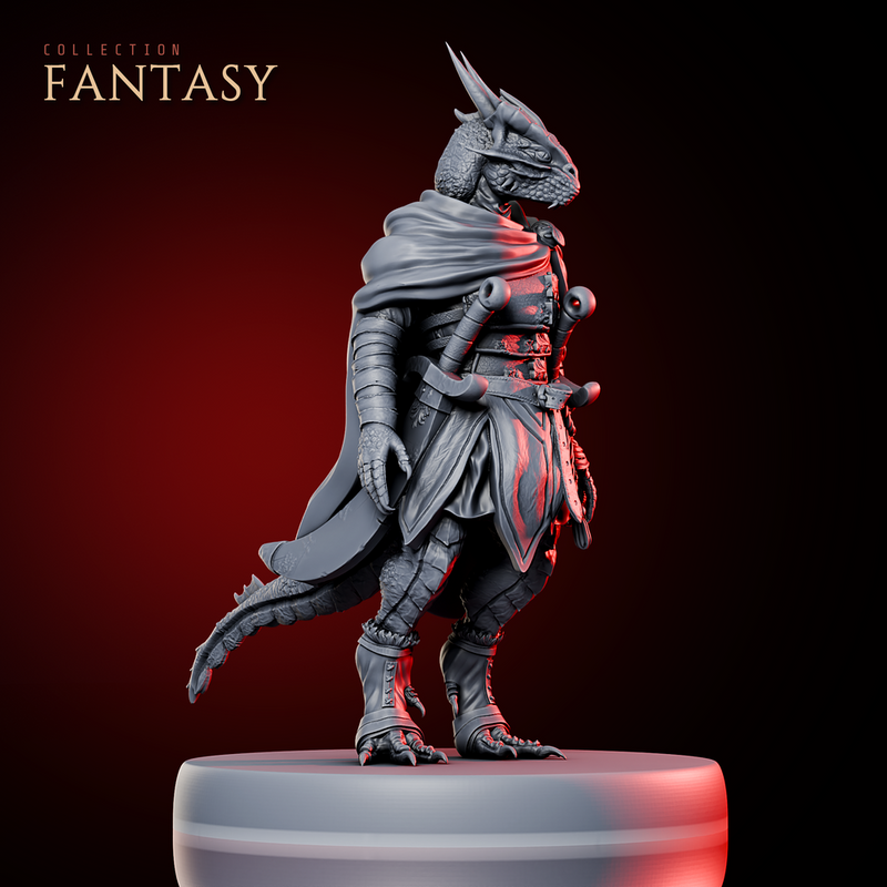 Dragonborn Adventurer 1 - Only-Games