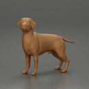 Chola Girl in sitting on knee hugging her dog - Only-Games