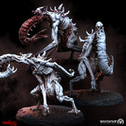 Vampire Abominations | Bestiarum | Wargaming DnD Miniatures - Only-Games