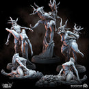 Ritual Bachannal x 5 - Only-Games