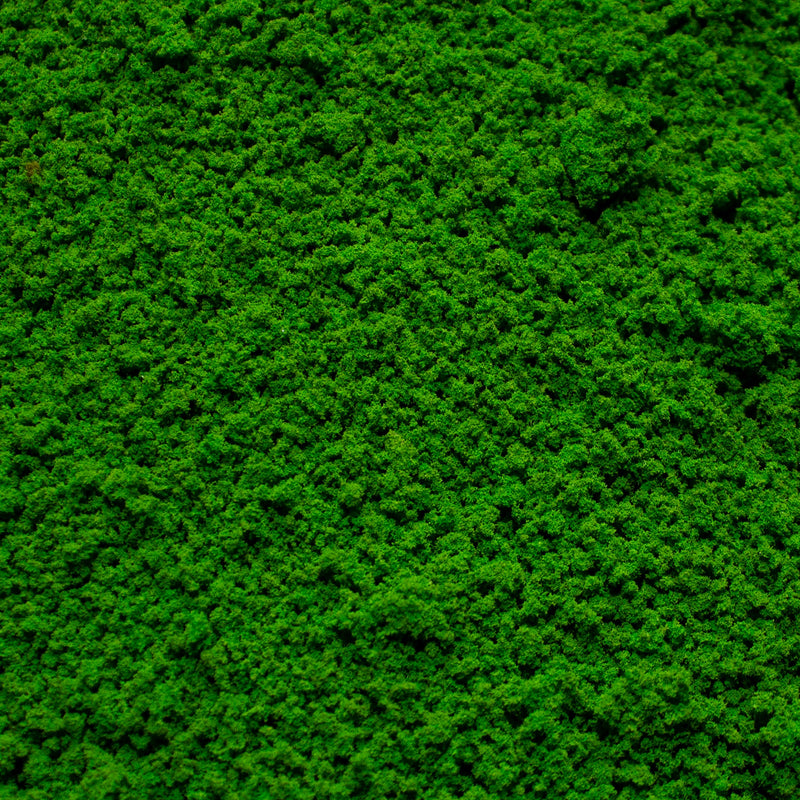 Coarse Flock - Woodland Fern Light Green - Only-Games