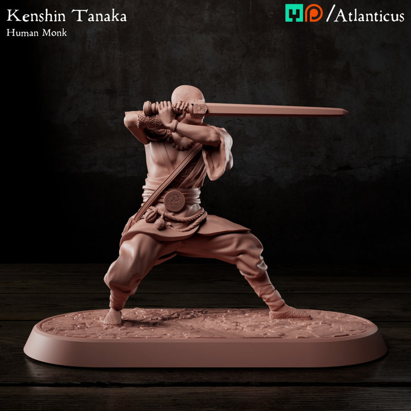 Kenshin Tanaka - Human Monk Bundle - Only-Games