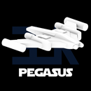 Tri-Wing Pegasus (EC Henry)