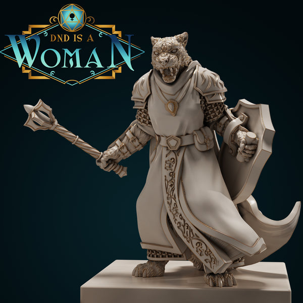 Tabaxi Cleric - Snowy Meadows Silver Sky - 28mm / 32mm / 75mm