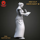 Ash Elf Merchant B - Only-Games