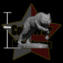 Dire Wolf Pack (7 Minis) - Only-Games