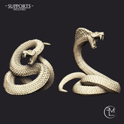 Giant Snakes - 2 Units (AMAZONS! Kickstarter) - Only-Games