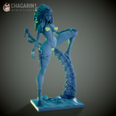 Tribal Warrior / C