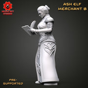 Ash Elf Merchant B - Only-Games