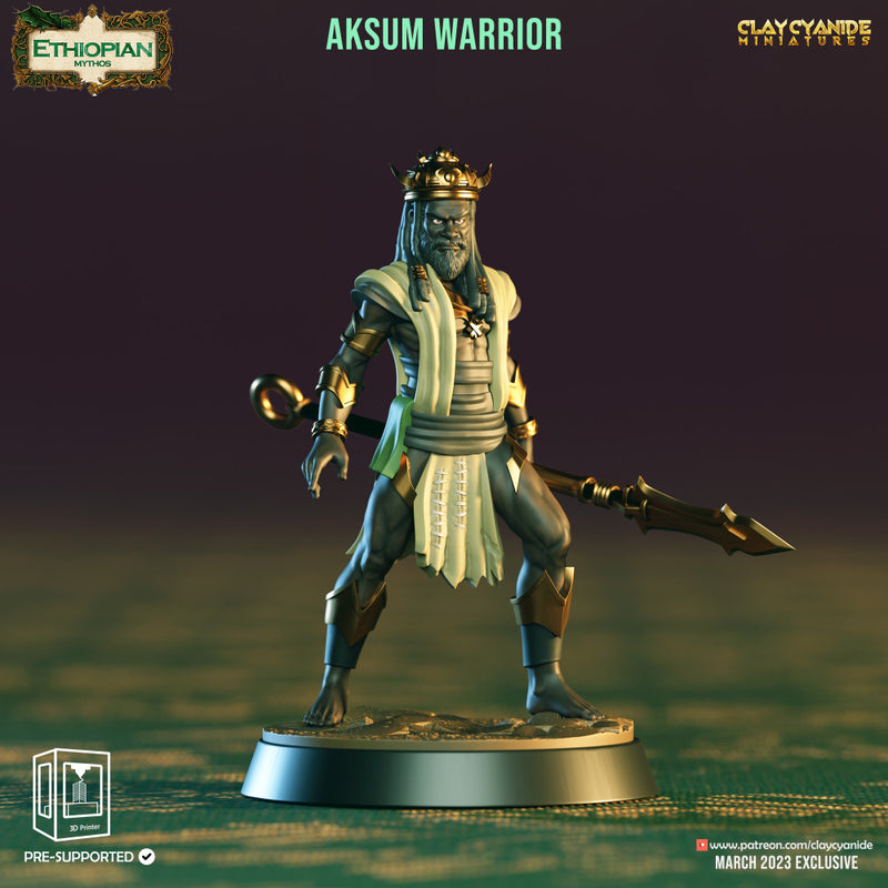 Aksum Warriors - Only-Games