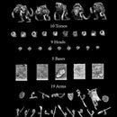 MULTIPART PESTILENS MOUNTED RATMEN - Only-Games