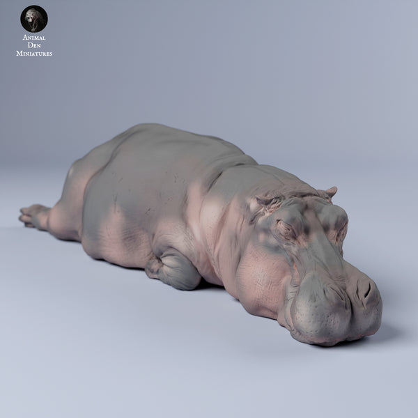 Hippo Sleep 1/43 - Only-Games