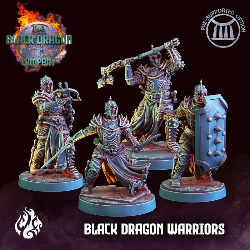 Black Dragon Warriors - Only-Games