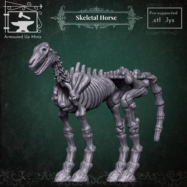 Skeletal Horse