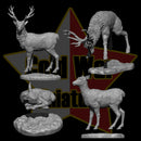 Into the Wild - 4 Deer - Only-Games