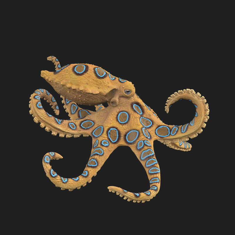 Greater Blue-Ringed Octopus Pre-Colored 1/2 - Only-Games