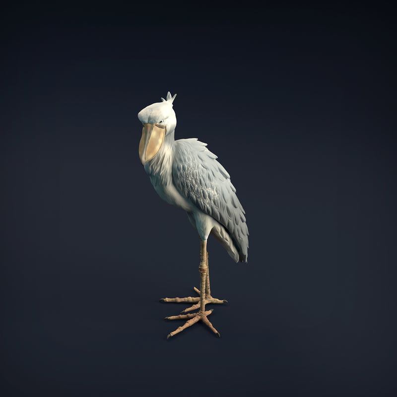 Shoebill 1/32 - Only-Games