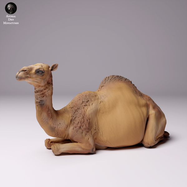 Dromedary Camel Lying Female 1/43 - Only-Games