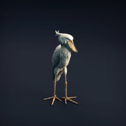 Shoebill 1/32 - Only-Games