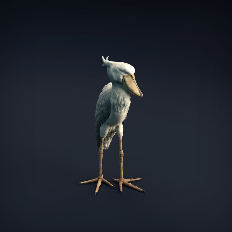 Shoebill 1/32 - Only-Games