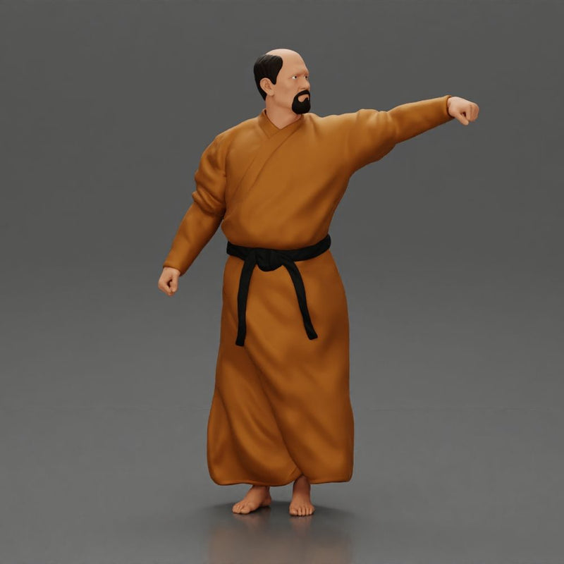 kung fu master performing kung fu moves