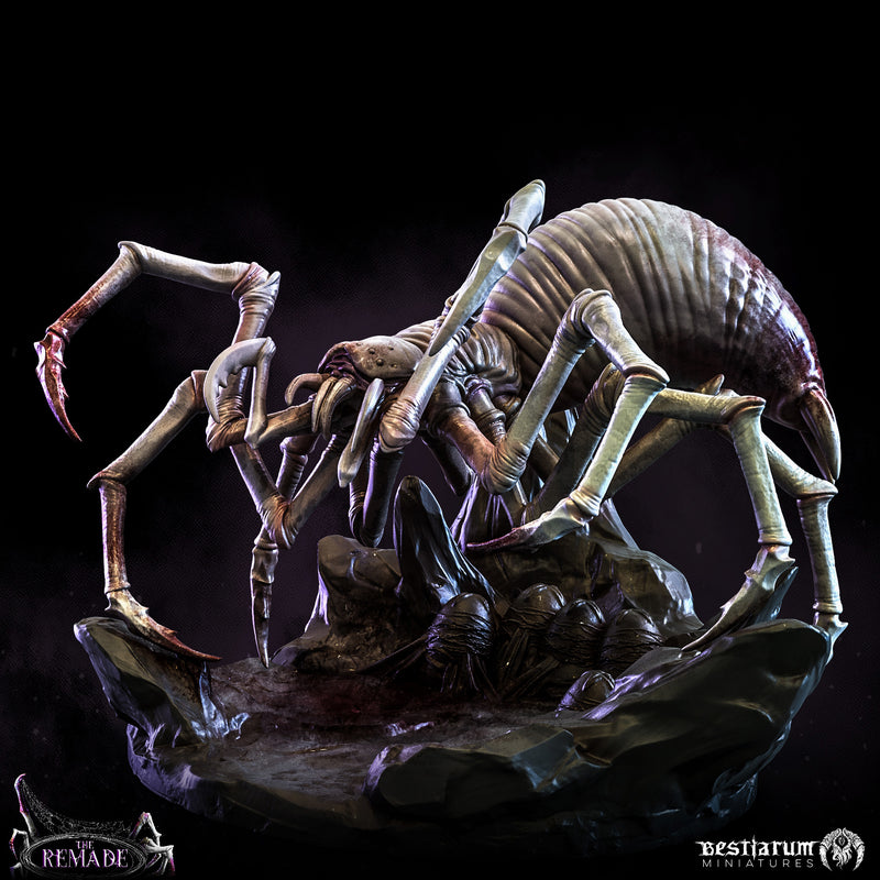 Cave Spider Encounter: Bundle