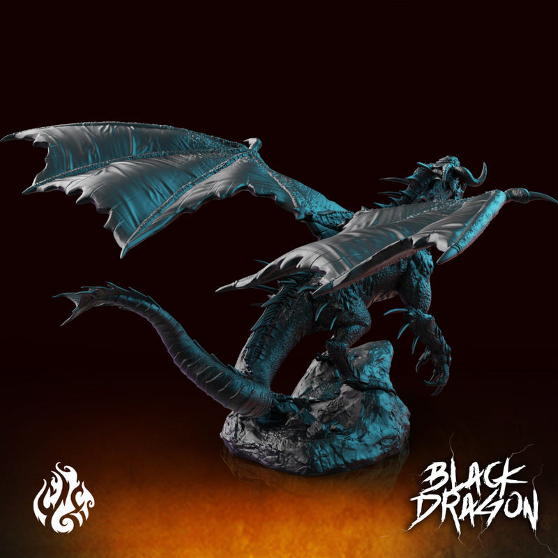 Black Dragon - Only-Games