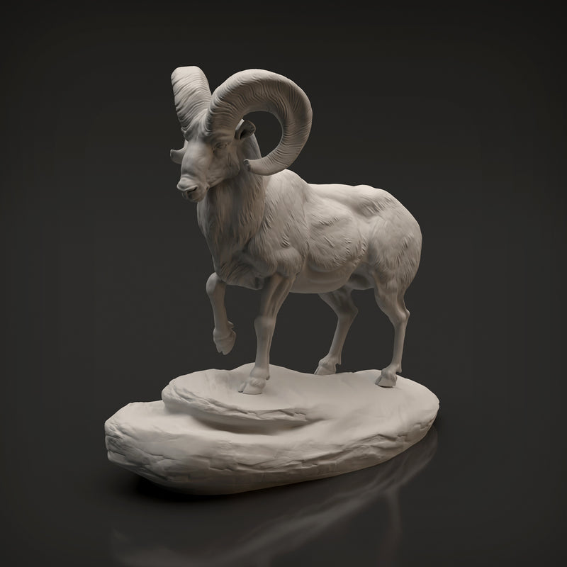 Bighorn Ram 1/32