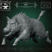 Boar - Only-Games