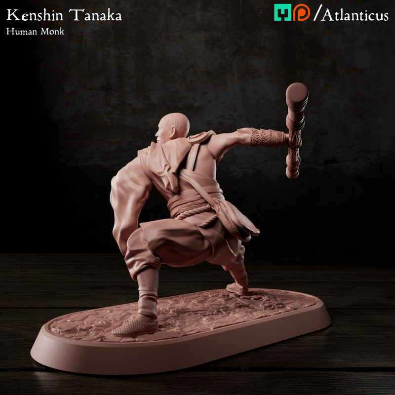 Kenshin Tanaka - Staff Squarestance - Only-Games