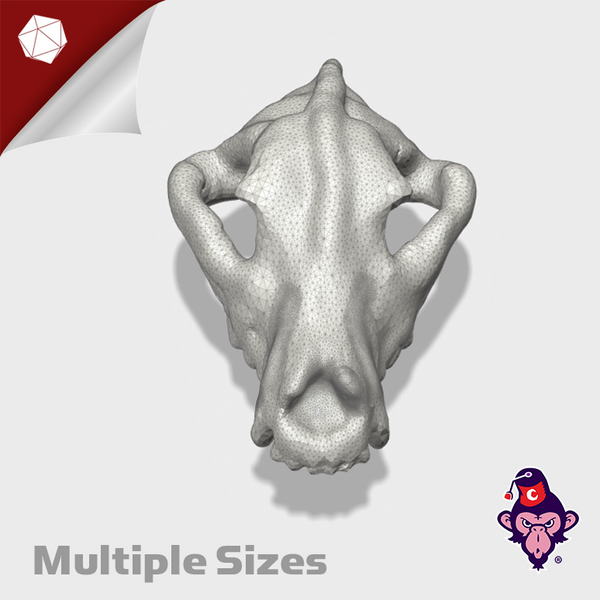 Wolf Skulls (Multiple Sizes)