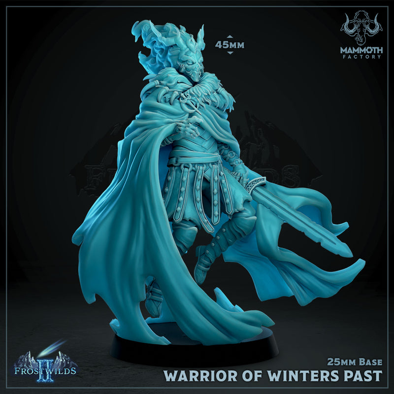 Warrior of Winters Past ( 25mm Undead Hero) - Only-Games