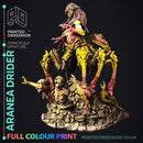 Aranea The Drider - Only-Games