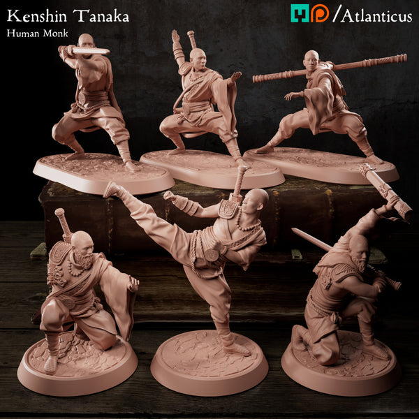 Kenshin Tanaka - BUNDLE