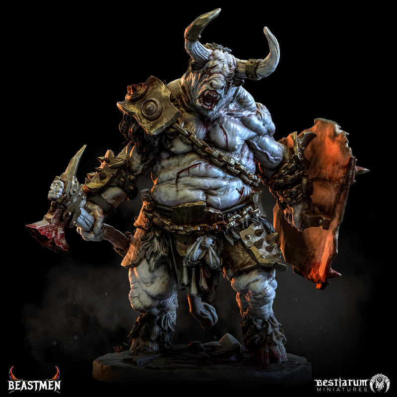 Beastman Warband: Bundle