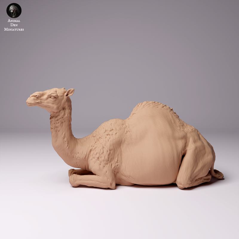 Dromedary Camel Lying Female 1/43 - Only-Games