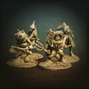 House Pixies