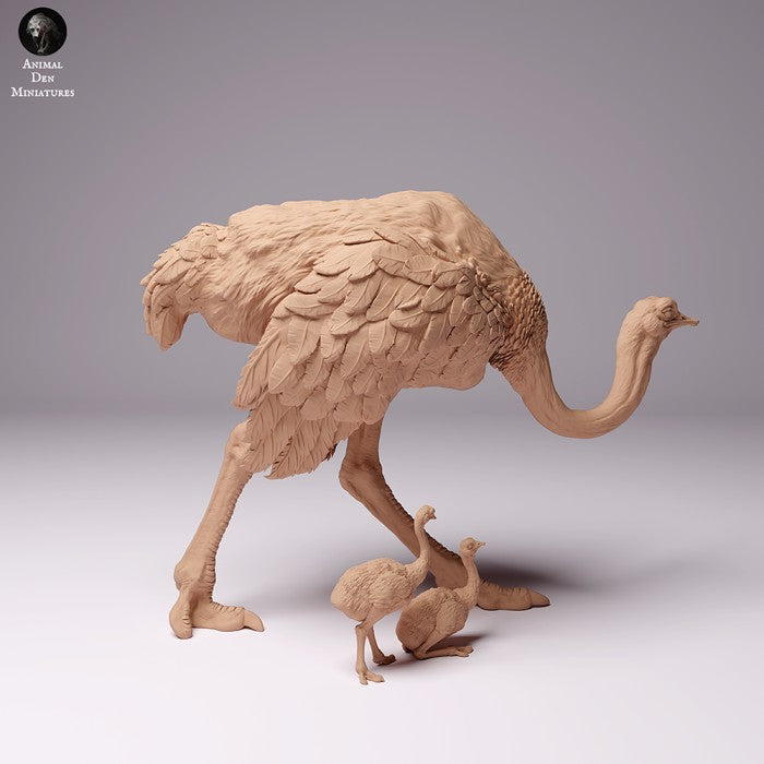 North African Ostrich Female and Chicks 1/43 - Only-Games