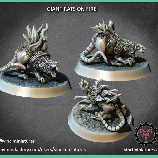 GIANT RATS ON FIRE - Only-Games