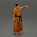 kung fu master performing kung fu moves - Only-Games